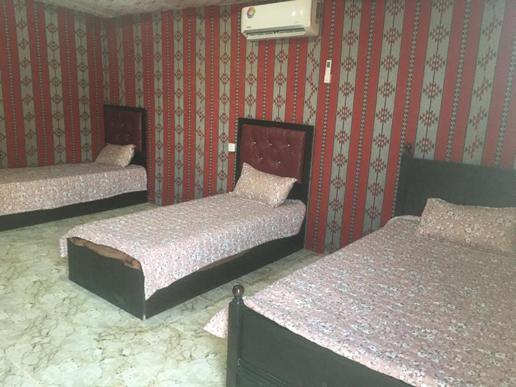 فندق وادي رمفي  Oryx Camp المظهر الخارجي الصورة